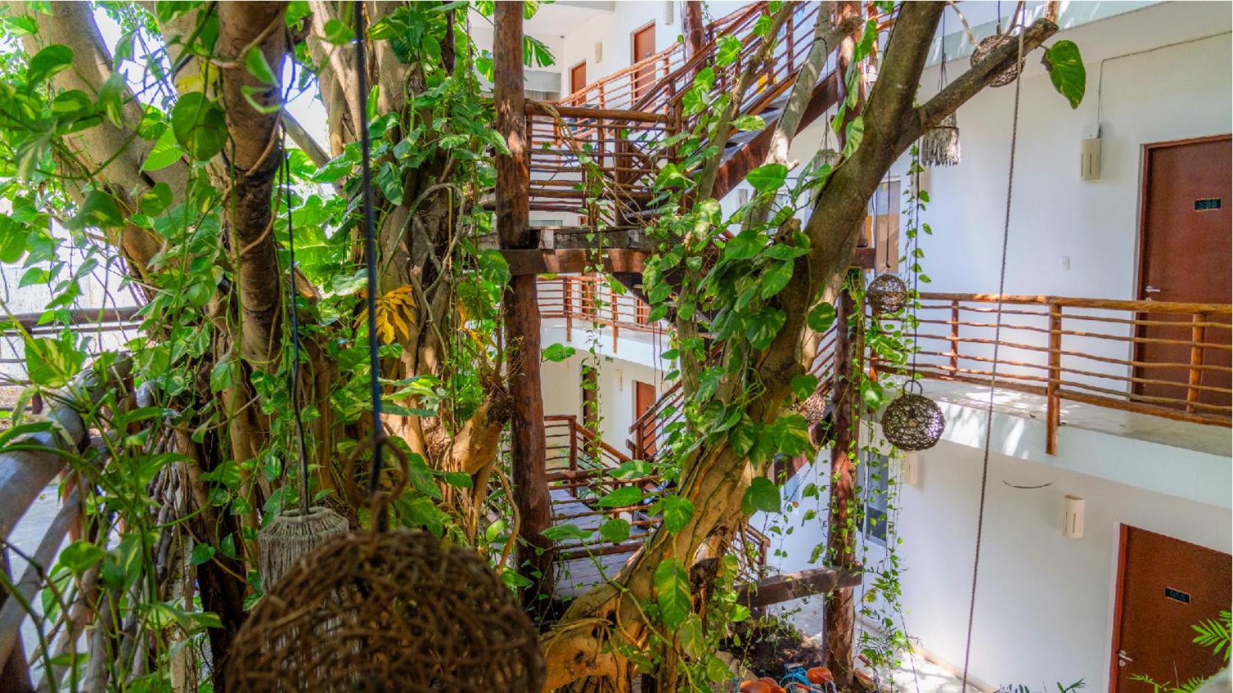 Kante Hotel - Downtown 图卢姆 外观 照片